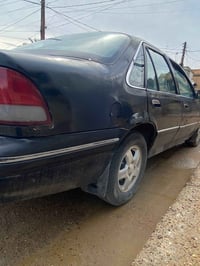 برنس فراشه • ١٩٩٦ • رقم بابل