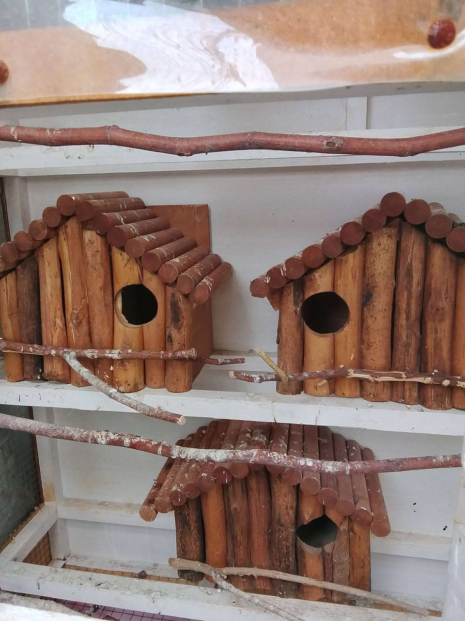 سلام عليكم قفص طيور زينه
قفص مرتب وما بيه كلشي نضيف وجديد لخشب ماله نوع ثقيل سعر 75
***********
