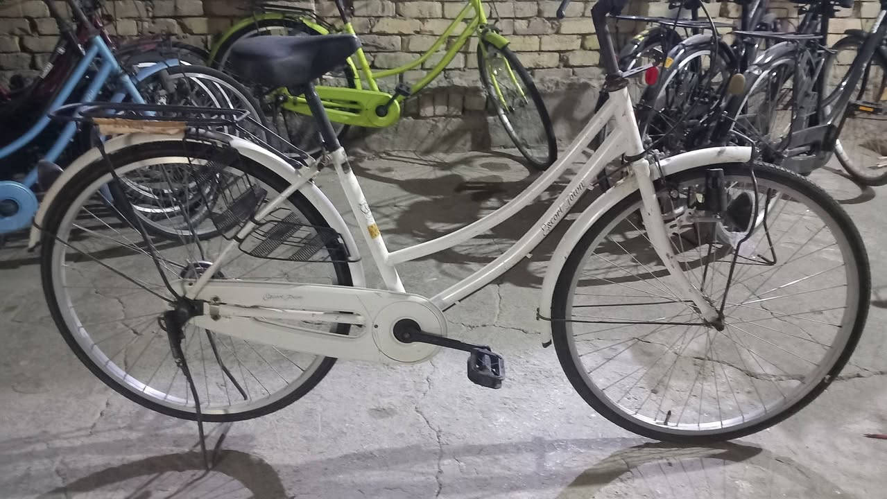 اللهم صلي على محمد وآل محمد
باسكلات حاويه للبيع 
فول نضافه ماركه ياباني حجم ٢٦ 
مكاني شطره قرب المعهد التقني مجاور ملعب الشهداء الخماسي للإستفسار على الرقم ***********بي وات ساب لالايوجد توصيل
