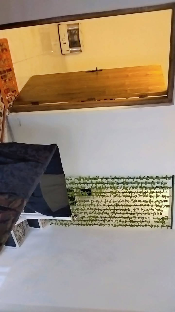 نصف قطعة للبيع قطاع 52 مربعة ركن شارع عريض مجاور مدرسة  ترميم جديد عام 2026 طابقين تحتوي على استقبال وهول وغرفة نوم وملحقات وكراج الطابق الثاني غرفتين كبار وحمام وصالة  وبيتونة وسطح شتايكر 
الاستفسار ***********
