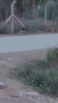 كامكو v2 موديل ١٤ مكفوله كفاله عامه شرط الفحص  السعر ٧٠٠ وبيه مجال  ٠٧...