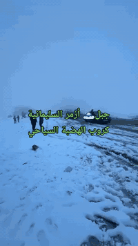 كروب👑 الهضبة السياحي
***********
