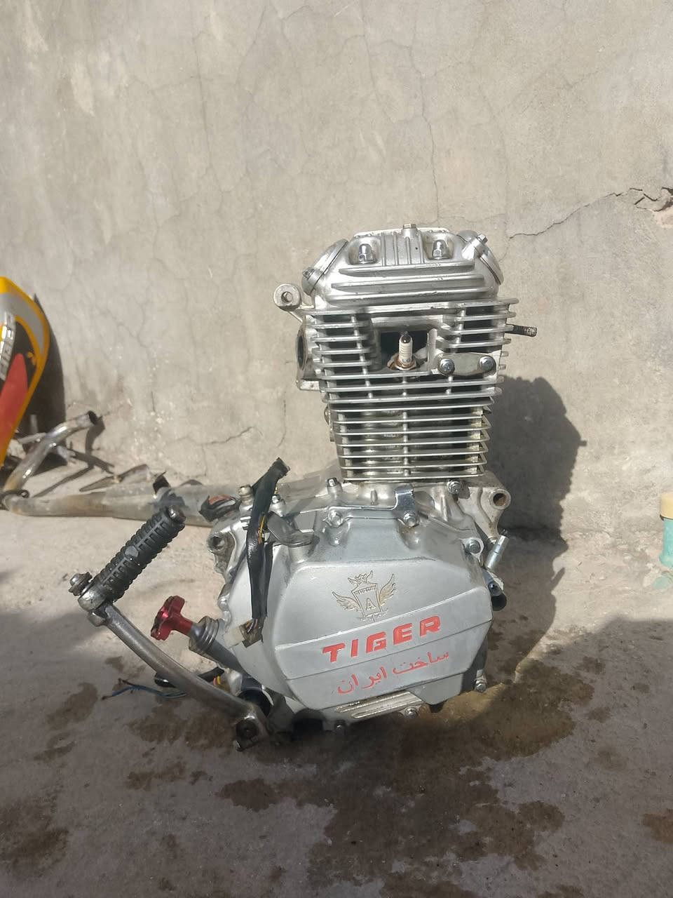 عاطله 50


**إذا كنت صاحب هذا الإعلان وتريد حذفه لأي سبب، رجاءا أرسل رسالة إلى الدعم الفني**