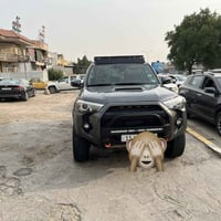 فور رنر • ٢٠٢٣ • حادث امريكا