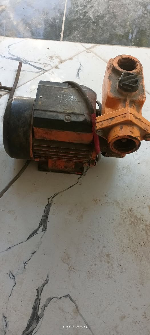 متاح شراي اتصل على الرقم وتدلل واسط كوت حي الجهاد زويرجات ***********
