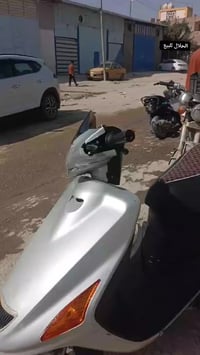 فراشة • نضيفه • مامفتوحه