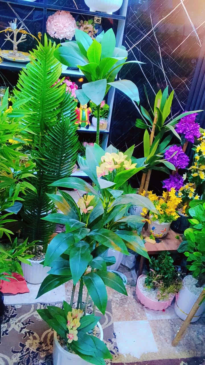 💐💐💐💐


**إذا كنت صاحب هذا الإعلان وتريد حذفه لأي سبب، رجاءا أرسل رسالة إلى الدعم الفني**