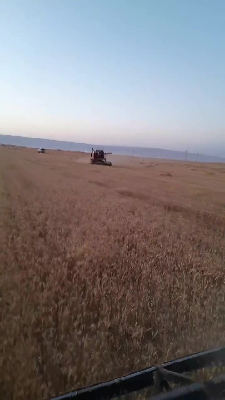 دراسة لافيردا للبيع معمرة محرك ومعمل (تريشر)
حالين بل حصاد قضاء البعاج السعر 6 ملايين والشراي يدلل الأتصال عبر الأرقام التالية ***********
***********
