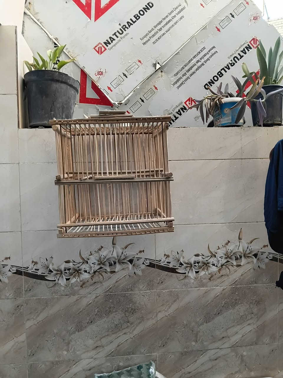 للبيع اقفاص عدد 3
 القفص خشب هرمي القياس
الطول 54 العرض 38
القفص المتوسط السعف القياس
الطول 38 العرض 45
القفص الصغير السعف القياس 
الطول 32 العرض 35
مكان بغداد الدوره 
***********
