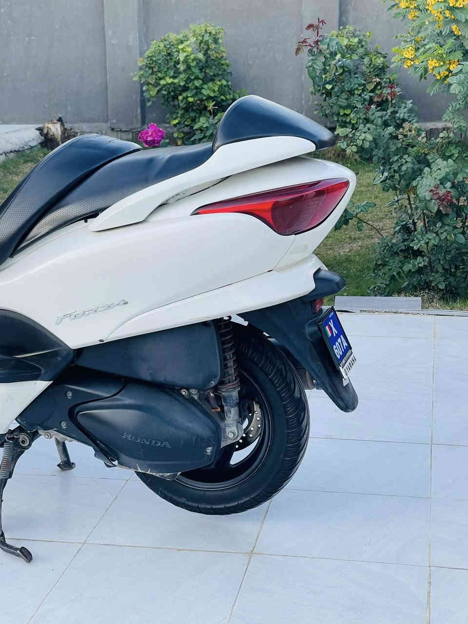 سلام عليكم فورزه 08 عميه بلاد مكفوله كفاله عامه اوراق كامله جديده وبلاديه بصمه سويج طوارء استاند حساس لون ابيض صدفي مميز تخم تاير بلاديه دراجه كهربائيات كله شغال عالي ناصي زنون اشاير شلعه معدل فول/سعر مليون 300 مكان بابل/
🌹/***********/
