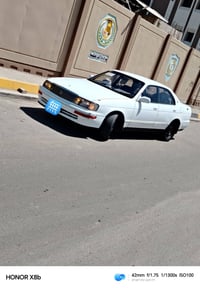 بطه ٩١ متصل بلاديه ومكفوله من الاصوليات رقم بغداد انكليزي بيه صبغ ٣ قط...