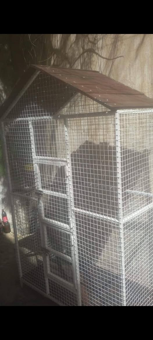 سلام عليكم .
قفص للبيع الارتفاع مع الجمالي تقريبا متر و٧٠ والعرض متر وعشرين والنزال ٧٠ .السعر ١٠٠


**إذا كنت صاحب هذا الإعلان وتريد حذفه لأي سبب، رجاءا أرسل رسالة إلى الدعم الفني**