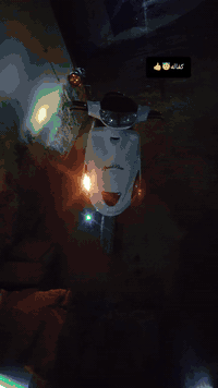 السلام عليكم  شباب  فراشه فحل مكينه مامفتوحه كفاله للبيع او مراوس مكان نجف شارع  مطار قديم  ورقم ***********
