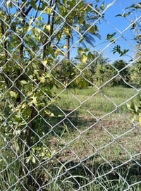 07803368861 يتوفر واتساب 》07710537946 مستعدون لعمل ونصب اسيجه  بيارسي ...