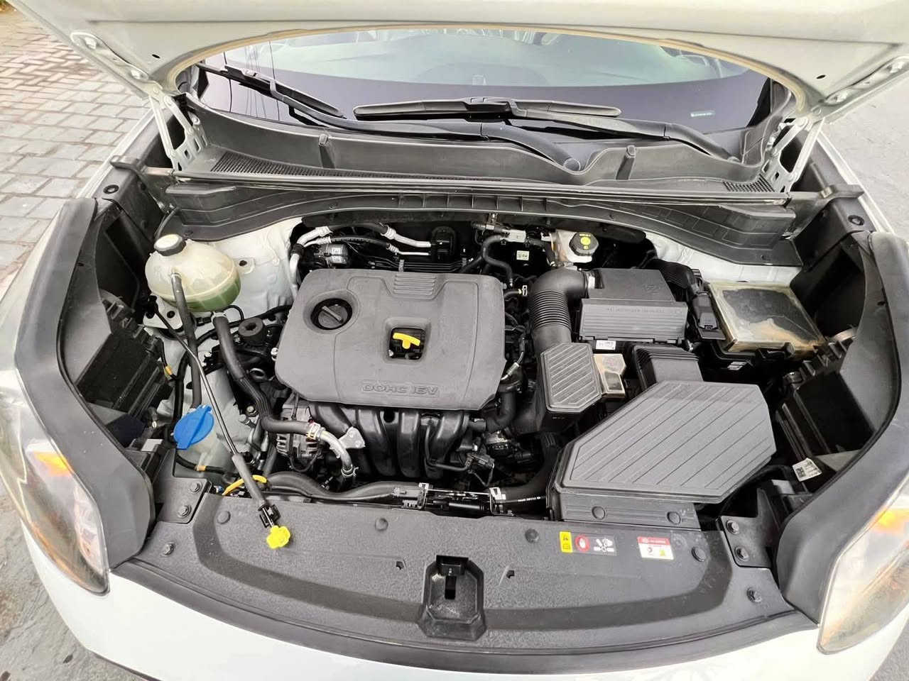 سبورتج 2021 فول بصمة بغداد ماشية 67 مكفول  فول تشغيل عن بعد السماوة


**إذا كنت صاحب هذا الإعلان وتريد حذفه لأي سبب، رجاءا أرسل رسالة إلى الدعم الفني**