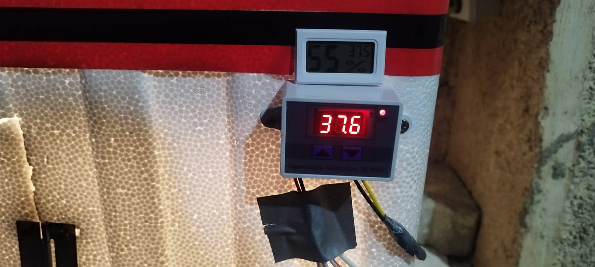 فقاسة حجم كبير تخاد 300بيضه بس اني حاط مشبج واحد ياخد 120بيضه 
سعرها 85الف كسر عرض العيد متوفر توصيل لجميع المحافظات


**إذا كنت صاحب هذا الإعلان وتريد حذفه لأي سبب، رجاءا أرسل رسالة إلى الدعم الفني**