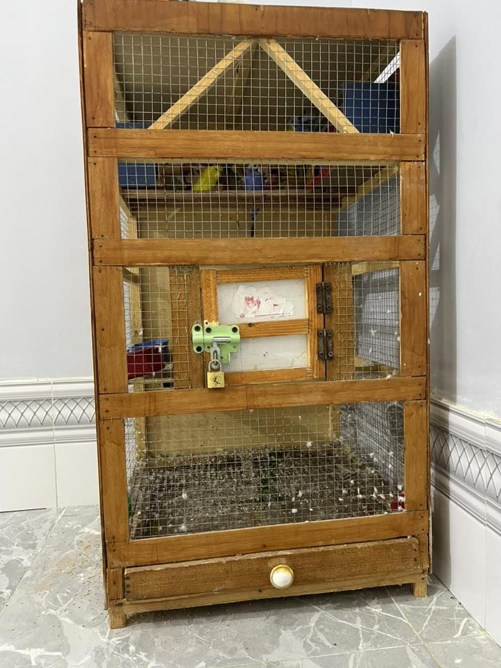 اعاده النشرر ادمن وافق 
طيور حب زوجين هاجرموو 
عل وجه مبياض للبيع هنه والقفص لعدم تفرغ سعر 70كلهن هاذ رقمي ***********مكاني طريق المجر
خاص متوفر
