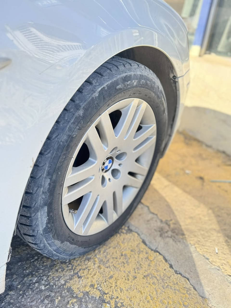 عندي تخم ويل 18 اريد مراوس بتخم ويل 19 شعاع
مكاني نجف 
للتواصل واتساب او خاص ***********
