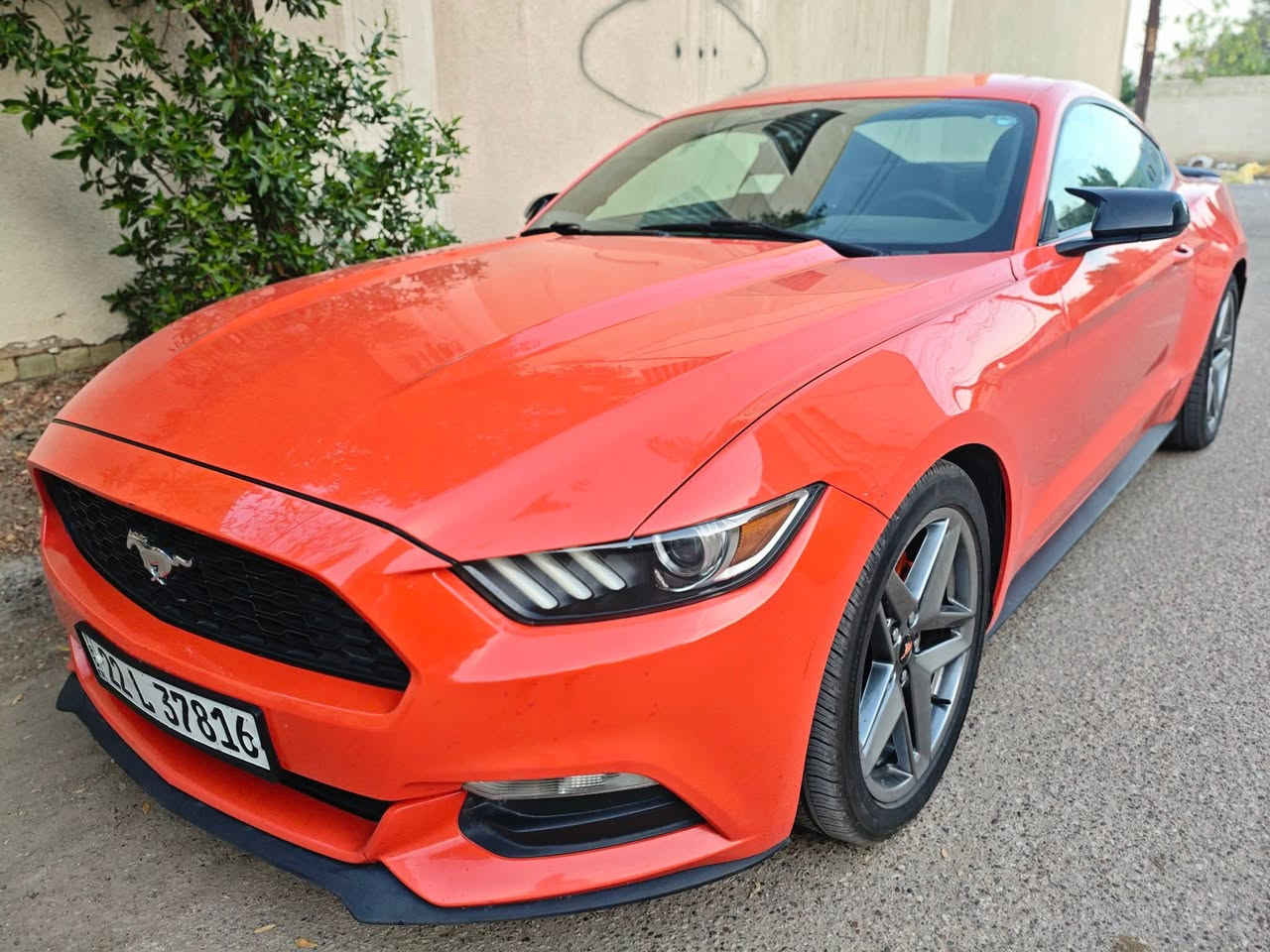 سلام عليكم شباب
موستنك 2015 من انضف السيارات بهذا الموديل 
6 سلندر 
ماشية 89 الف
كلين تايتل مكفولة صبغ وضربة وغرق وضربة من جوة يعني كلين حقيقي
عليهة ادامة كاملة من منضومة بانزين
وتبريد مبدل دهن اكسل ودهن كير ودهن بريك السيارة اي نقص مابيهة كاملة مكملة 
هزة جديدة
سنوية جديدة باسمي
مصفرة غرامات 
السيارة جديدة قبل فترة مشتريهة بس اريد اسافر 
عنواني بغداد شباب من هسة الي ما تعجبة السيارة خل يعبر المنشور وان شاء الله يلكة الاحسن منهة والراغب بالشراء  يجي يكلبهة بعينة ويشوف 
السعر اكتب تعليق يجيك لمعرفة تفاصيل اكثر اتواصل خاص او اتصل ***********
