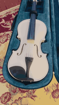 كمان للبيع لون ابيض السعر 50 مع توصيل واتساب ‭٠٧٧٤ ٩٤٢ ٢٠٨١‬
