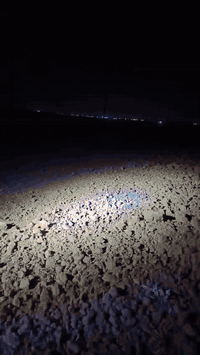 السلام عليكم  يوجد لدينا كراب قارضه  سعر الدونم  8 وحي الله  الكرايب   للاستفسار  ***********
