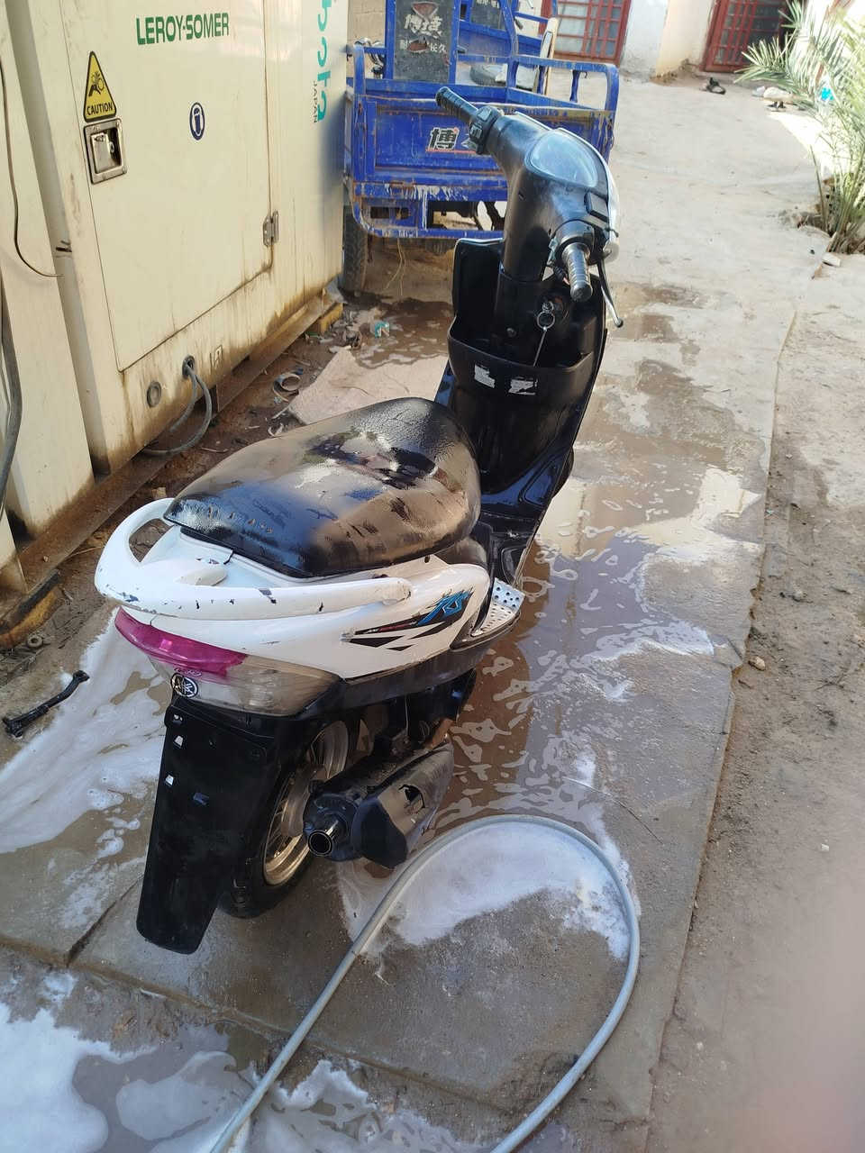 دراجه البيع ماكس عدله بوشه 55 دراجه نكره سلف السعر 500وبيه مجال الرقم السفسار /***********
