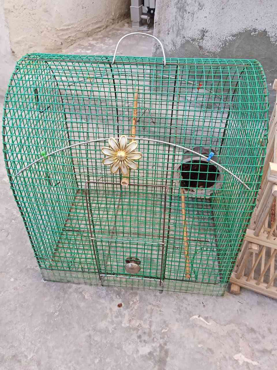 اقفاص3  انضاف مابيهن كسر للبيع شلع لسعر 15 الف قفل قفل لشراي يخبر علرقم ***********
