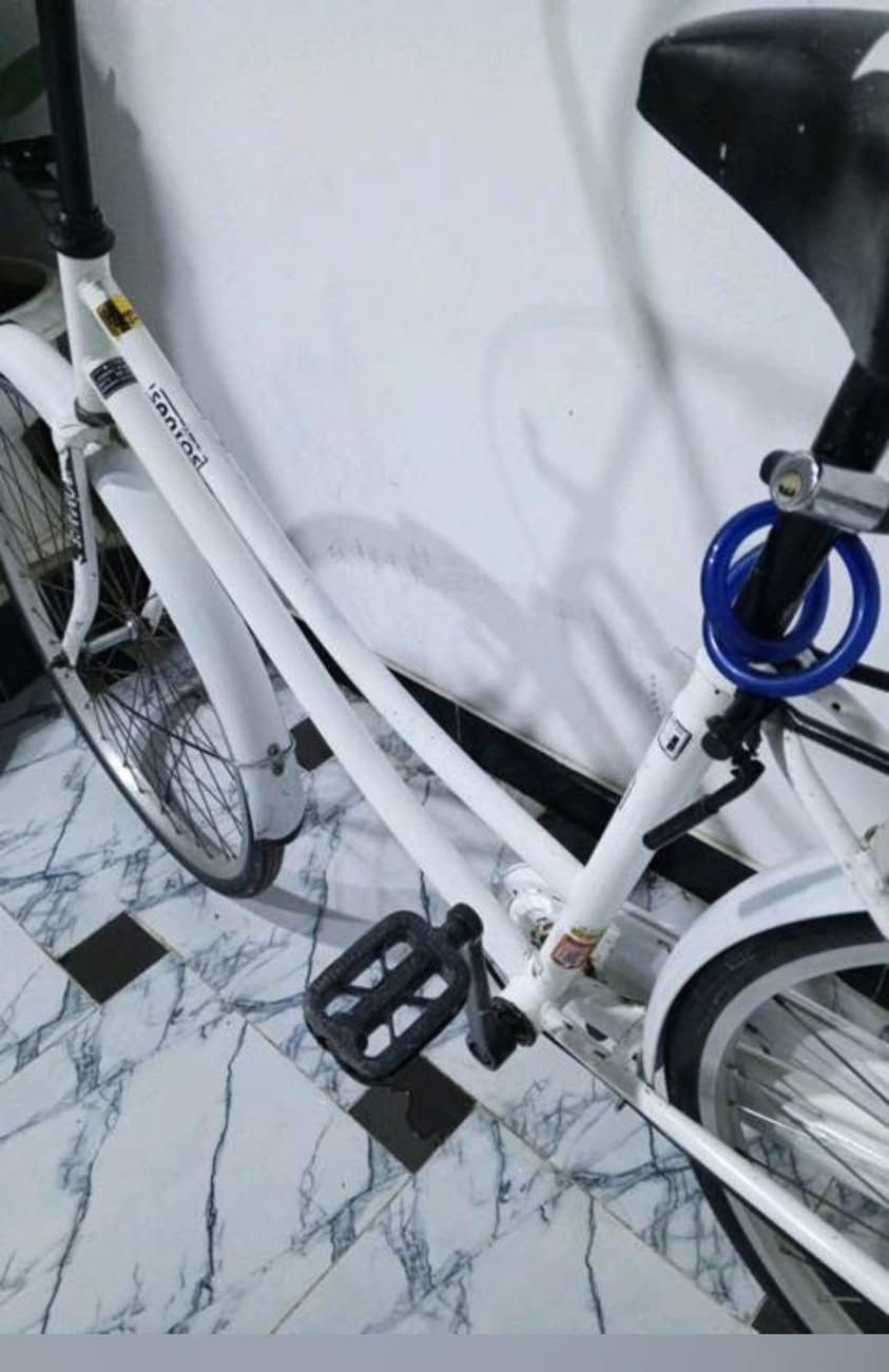 بسكل البيع ياباني اصلي بسكل نضيف البيع


**إذا كنت صاحب هذا الإعلان وتريد حذفه لأي سبب، رجاءا أرسل رسالة إلى الدعم الفني**