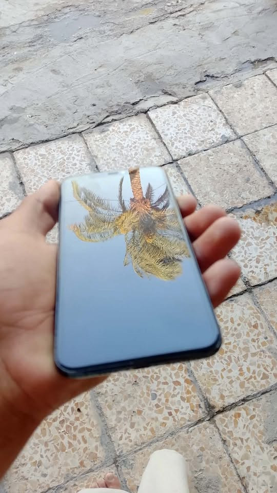 سلام عليكم مرخصه صاحب لكروب
ايفون ١١ برو ماكس للبيع فقط 
مفطر ضهر او مبدل شاشه اصليه 
بطاريه ٧٣ تقره خدمه 
مابي شي جاهز انترنيت كامرات  سي كرت كله شغال 
مكاني حله مركز سعره ٢٥٠ وبي مجال 
رقمي ‭***********‬
