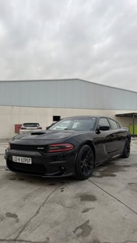 دايتونا • هيمي V8 • رقم اربيل