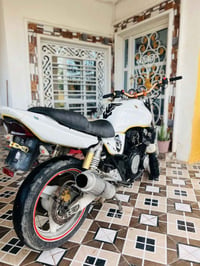 مراوس