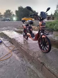 باسكل شحن • ٢٠٢٤ • شغل كامل