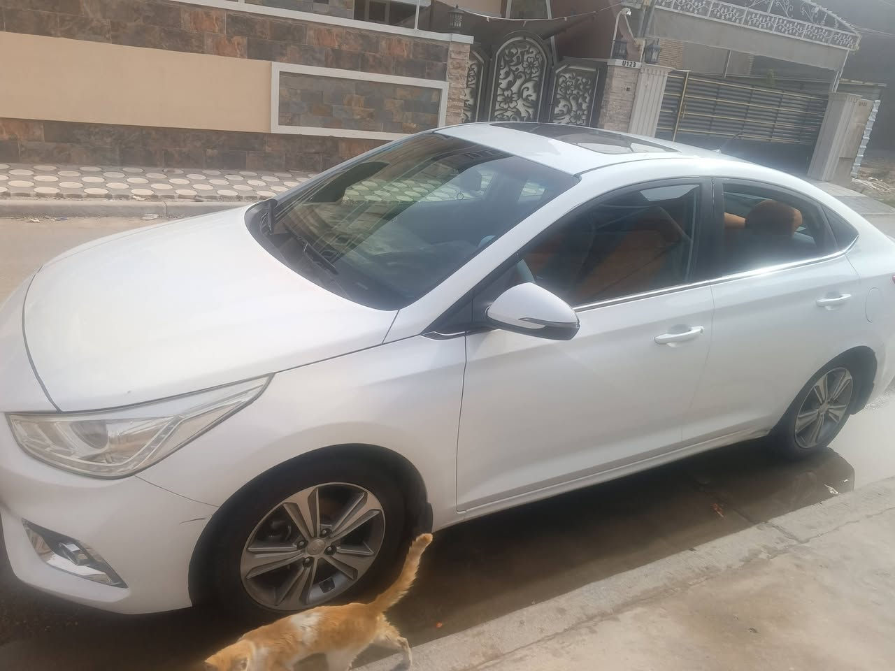 سلام عليكم من رخصه الكروب اكسنت للبيع موديل 19ابيض خليجي بيها حادث اثنين باب لا داخل ولا كص فقط تبديل  محرك وكير زيرو السياره جديده بمعنه لا توصف فتحه سقف مري اشاره وشفط تحكم جهتين رادارحساس خلفي وجانبية لايت دوار معه الستيرن خمسه ويل كب والسعر 120وبيها مجال شي بسيط هذا رقمي ***********ابو علي
