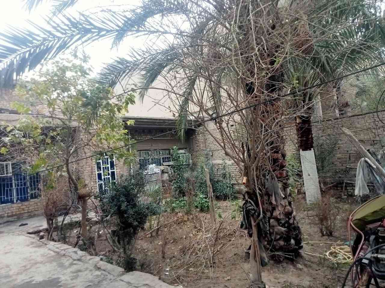 بيت للبيع في الامين المشتل على القناة مباشر
مساحه 300متر
الاستفسار الاتصال على الرقم ***********
