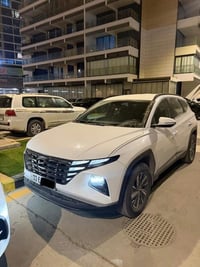 توسان • ٢٠٢٢ • بدون صبغ