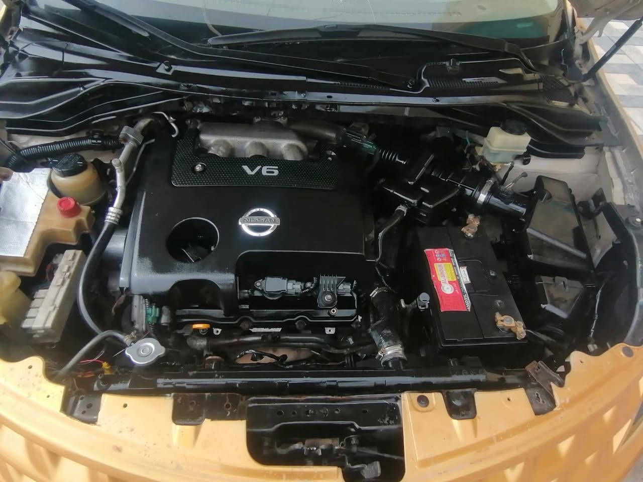 السلام عليكم
نيسان مورانو 2007 رقم انكليزي جديد السياره بأسمي تحويل ثاني يوم مباشر هزه جديده اللون مميز ذهبي محرك وكير مكفولات طخم تاير جديد باتري جديد صدر امامي جديد صدر خلفي جديد سلايد روف طكتين كشنات كهرباء شاشه كامره سنتر لوك تحكم ستيرن رادار سستم مضخم صوت بلادي السياره مصبوغه عام للجماليه السياره جاهزه ما بيها اي نقص السعر 67 ورقه للاستفسار واتساب
***********
