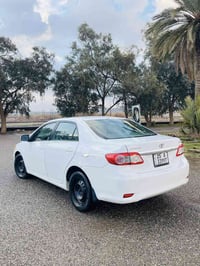 كورلا • ٢٠١٣ • كركوك