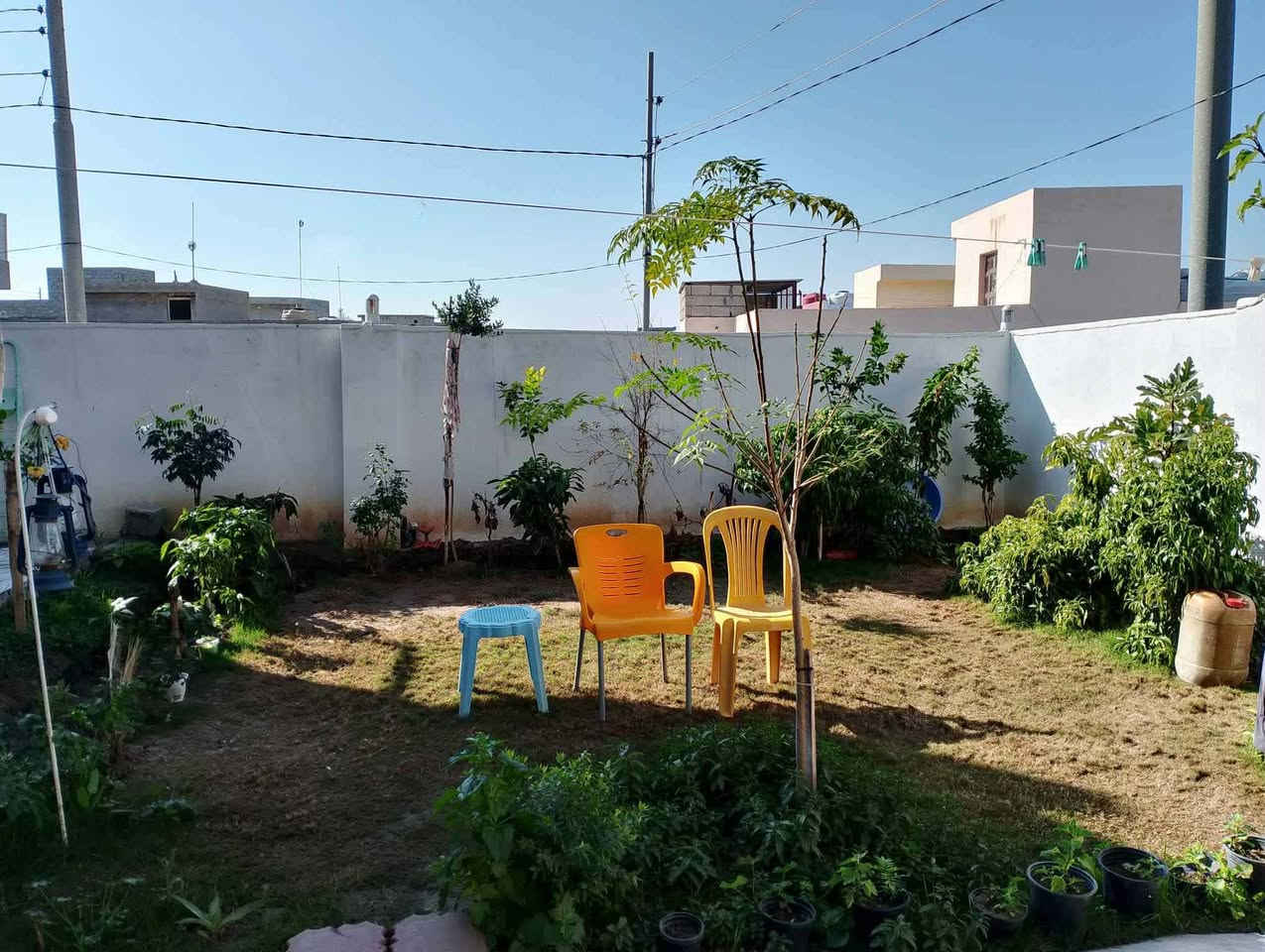 بيت ٢٠٠ متر ركن في إمام عباس طابق واحد يحتوي على استقبال وهول وغرفة ومطبخ الارضيه بورسلين وحمامين شرقي وغربي وحديق وكراج واسع بسعر ٣٣ مليون للاستفسار ***********

