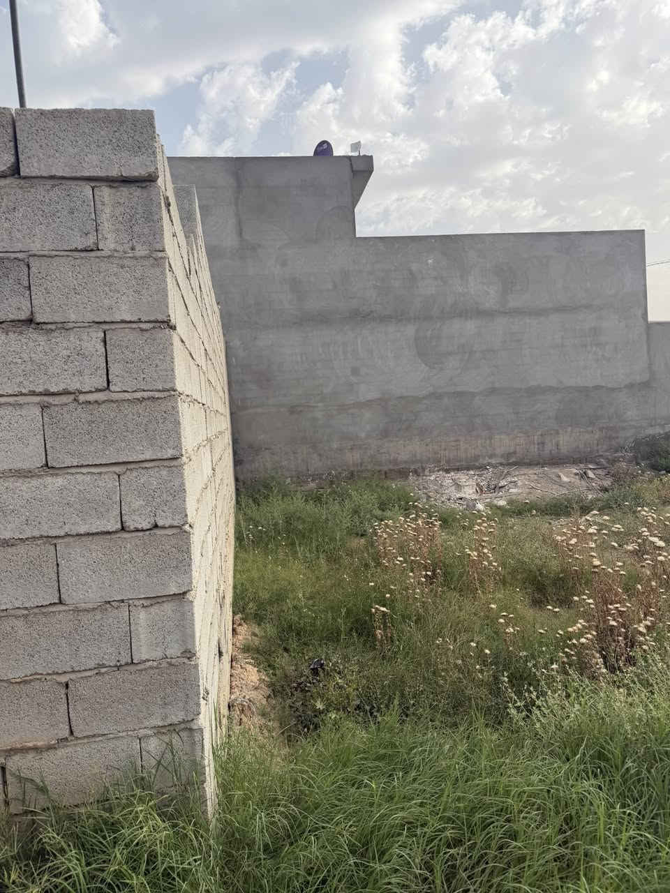 سلام عليكم قطقه للبيع 210 متر قطعه حلو زراعي سعر  قطعه ركن  رقم *********** ما يشتري لا يسل سعر 27 بيه مجال قليل ❤️تعال هله بيك

