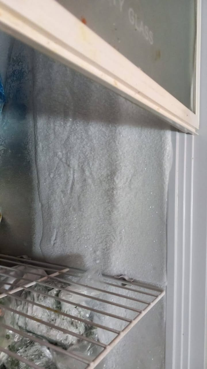 مجمده رويال باب لأول مداخله تصليح نهائيا تاخذوه علا شرط وفحص السعر 225 وبيه مجال


**إذا كنت صاحب هذا الإعلان وتريد حذفه لأي سبب، رجاءا أرسل رسالة إلى الدعم الفني**