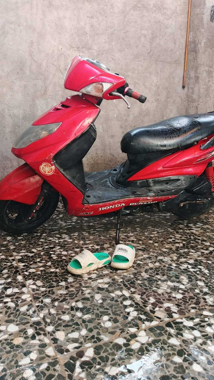 سكنس فحل كابريته مكاني بغداد حي أور سبع قصور كامله كلشي شغال مستعجل على بيعه بسبب سعر 550 وبيه مجال *********** يوجد واتساب
