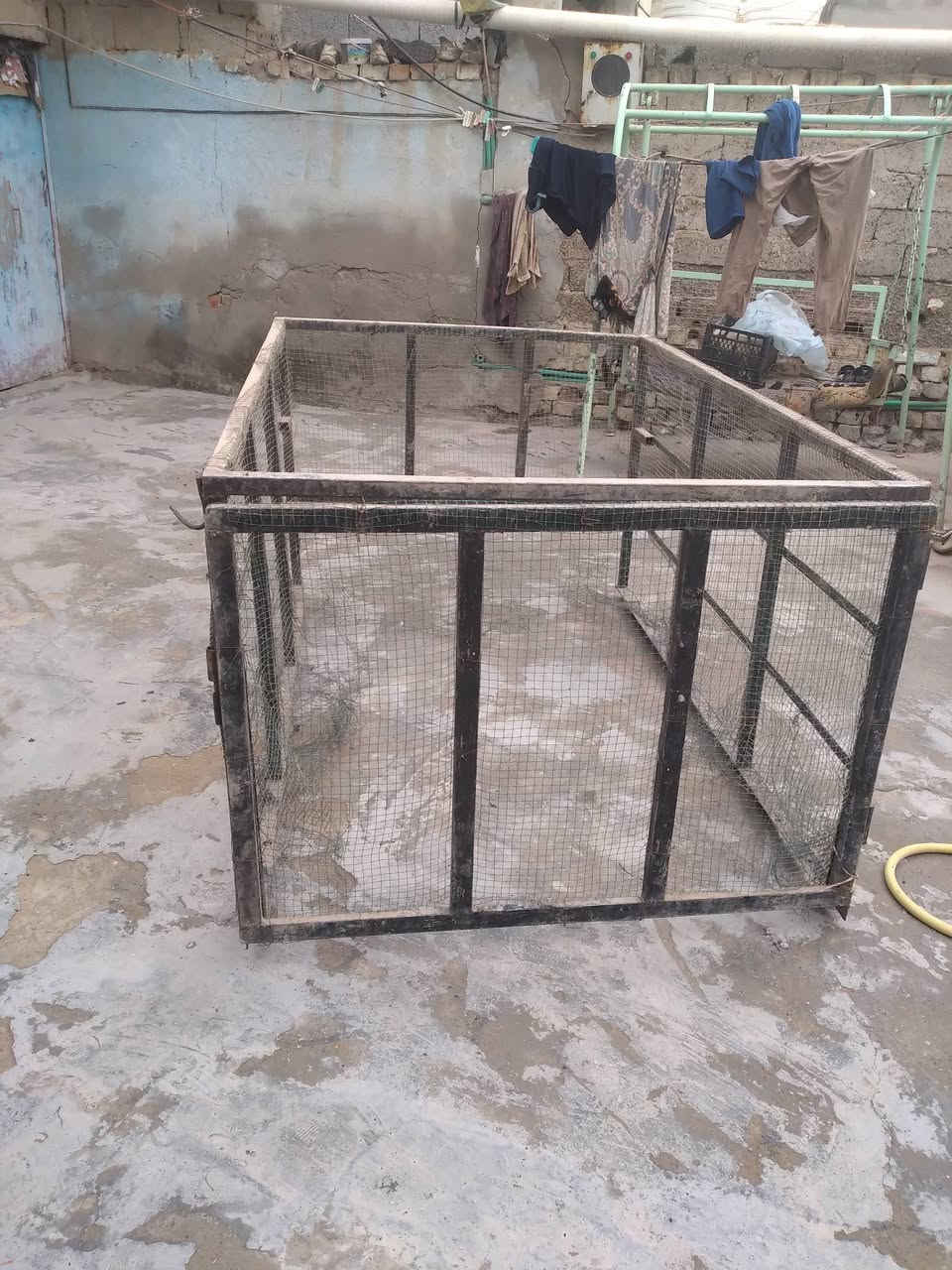 محجر مال جمره نضيف كامل ومشبج رايده 50 الشراي خاص


**إذا كنت صاحب هذا الإعلان وتريد حذفه لأي سبب، رجاءا أرسل رسالة إلى الدعم الفني**