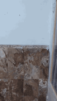 شقة ايجار ارضيه بحي الوفاء نظيفه جدا اللا ستفسار  ***********
