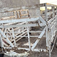 شباب محجر كيا فحل للبيع السعر مناسب اتصال على الرقم 07726523717