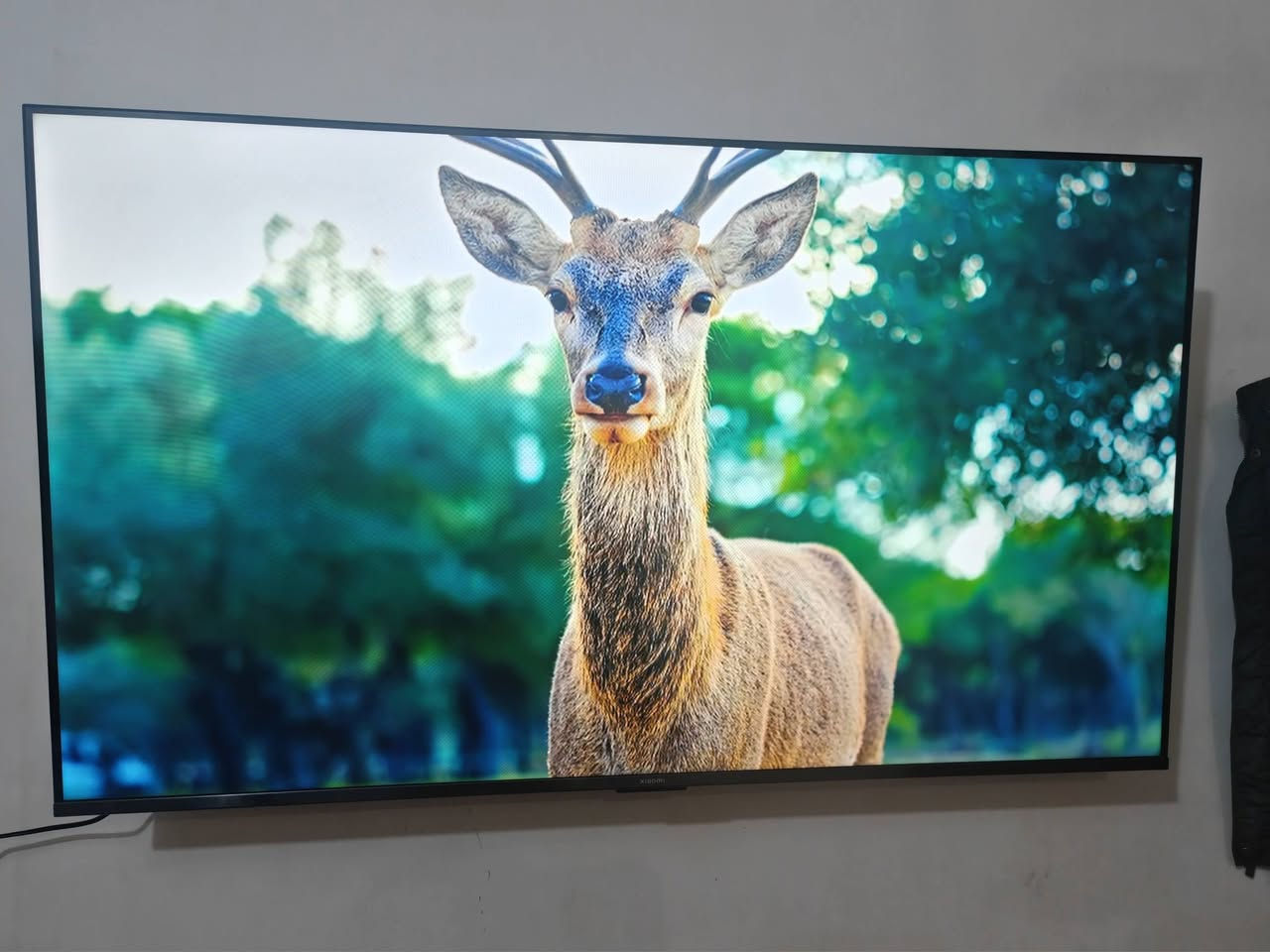 شاشة شاومي A pro 2026  حجم 55 نظافة 100% كامل ملحقات استخدام شهر نقص كارتون فقط للبيع سعر 450 قفل قفل او مراوس بtcl نفس الحجم والسبب تغيير لا اكثر
عنواني بغداد ماعندي توصيل اي استفسار عالرقم ***********
