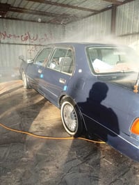 كراون ارنب • ٩١ • ما مصبوغة