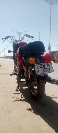 ام زت 81 • سنوية إنكليزي • خشم لحيم