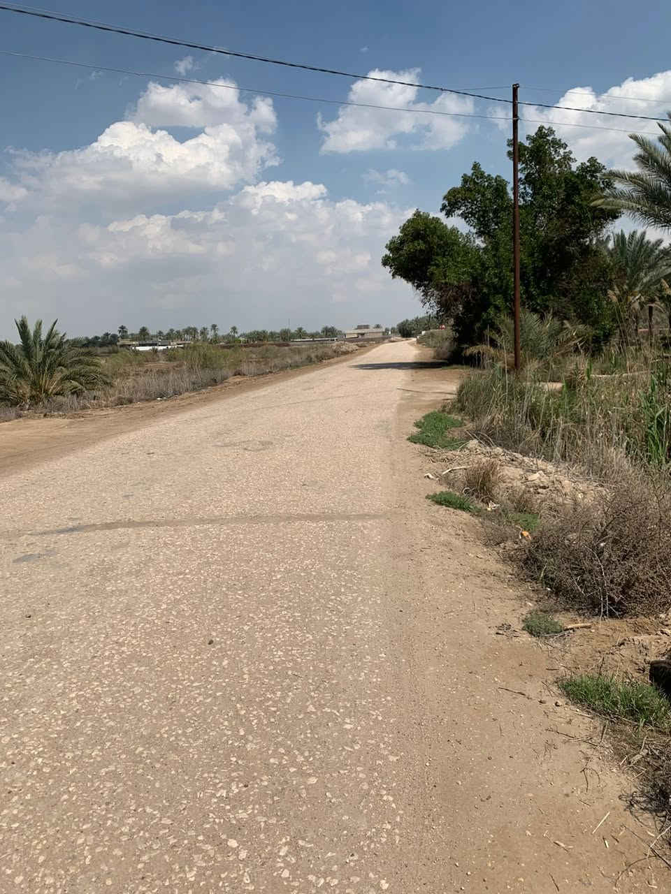 سلام عليكم دوانم البيع سند 24 كافة الخدمات ماء كهرباء تبليط يبعد عن تبليط، 90 متر طريق 5 متر/ مكان بابل ورديه يبعد كيلو  عن الإمام علي أبن الحسن ابو هدمه / ***********/ يصبح سكن/ ويصبح مزرعه/
