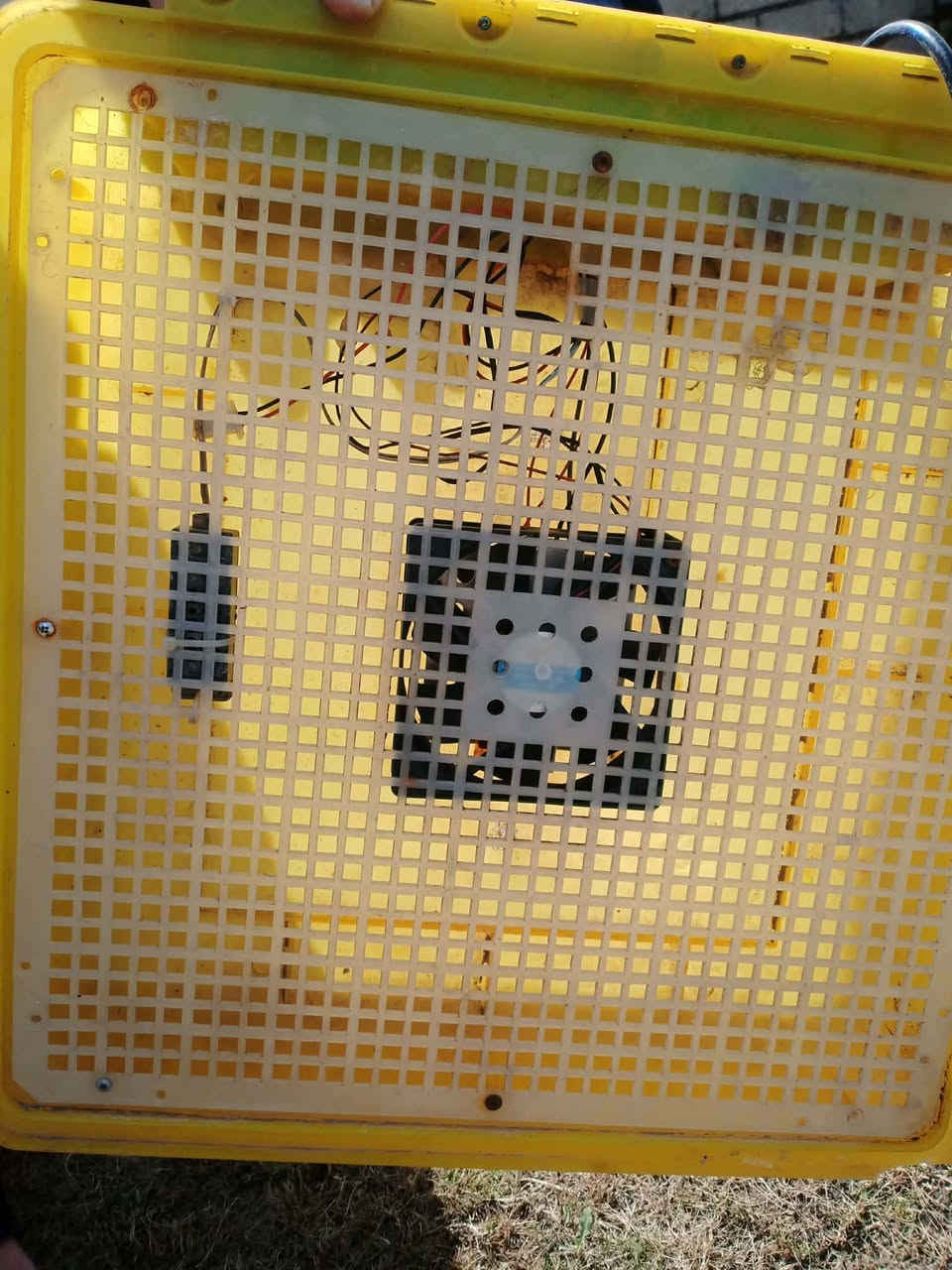 متاح مفقسه تاخذ 48 بيضه تقليب اوتماتيك نسبه التفقيس عاليه
 السعر 100


**إذا كنت صاحب هذا الإعلان وتريد حذفه لأي سبب، رجاءا أرسل رسالة إلى الدعم الفني**