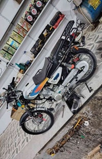 بلاديه • ماملعوب • اوراق اصولي